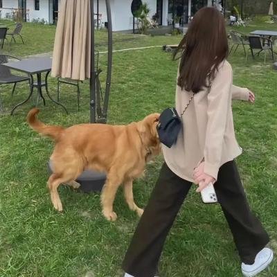 黑煞女